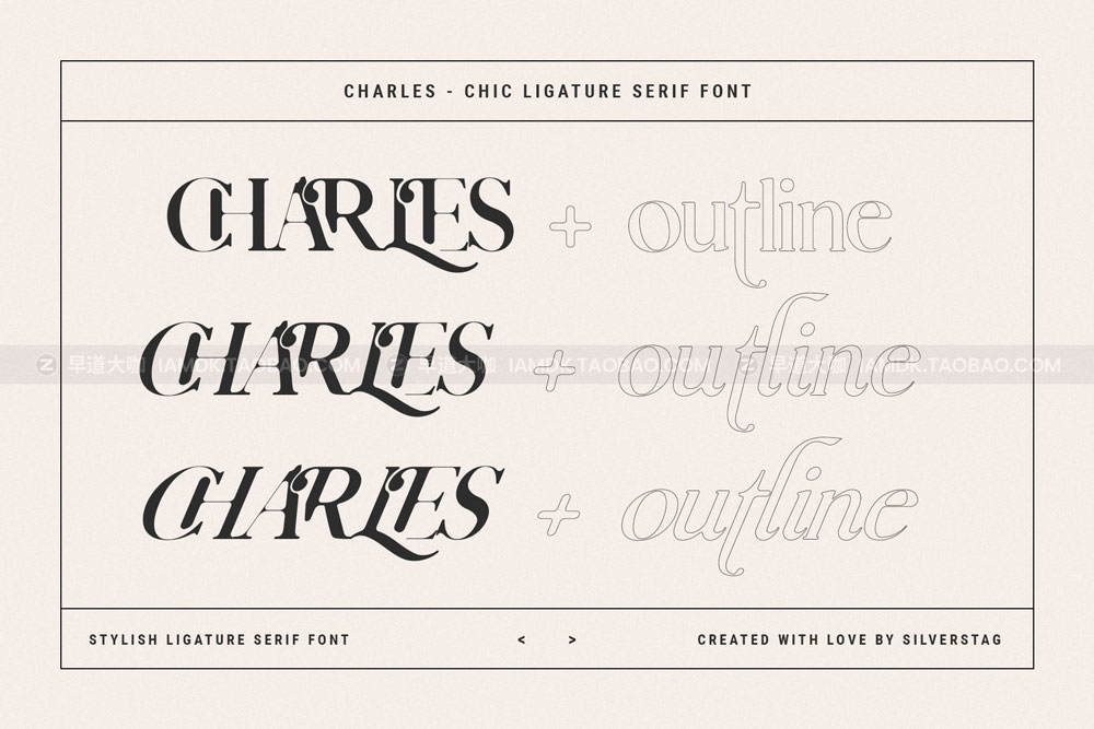 现代优雅连字衬线字体抽象树叶有机形状线体设计素材包 Charles - Ligature Serif Font Family_img_2