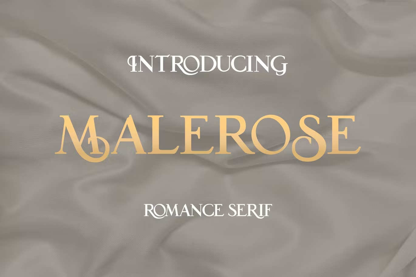 时尚优雅杂志婚礼徽标logo设计衬线英文字体 Malerose_img_2