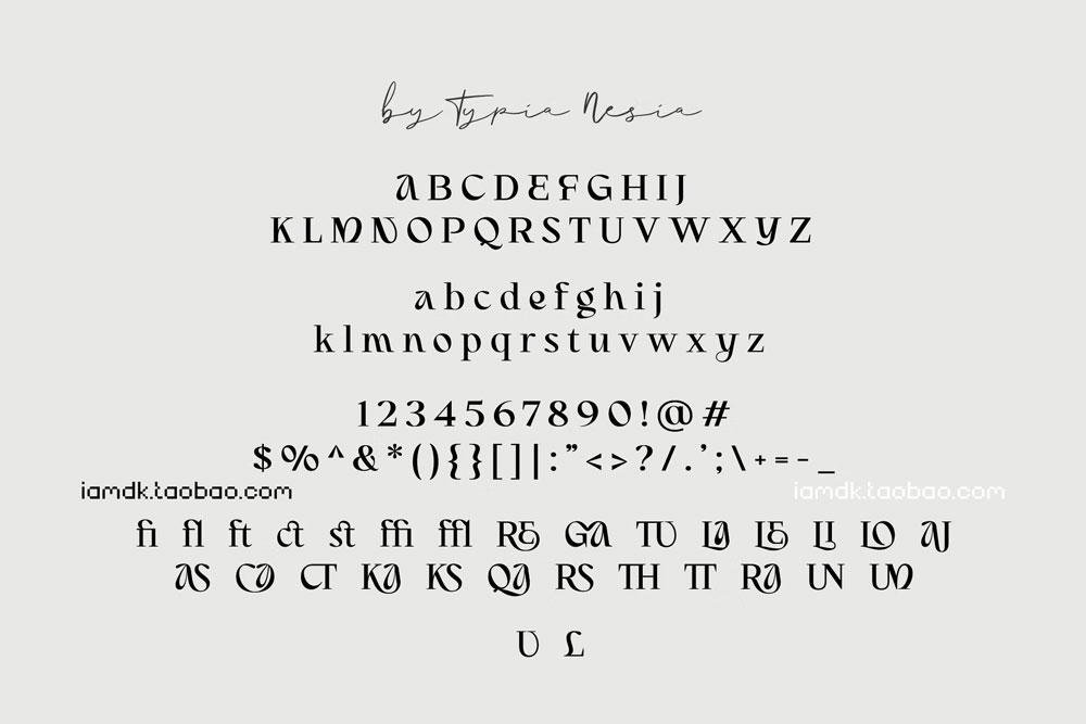 现代复古海报广告标题设计衬线英文字体 Yumlocks - Ligature Display Serif - Beauty Font_img_2