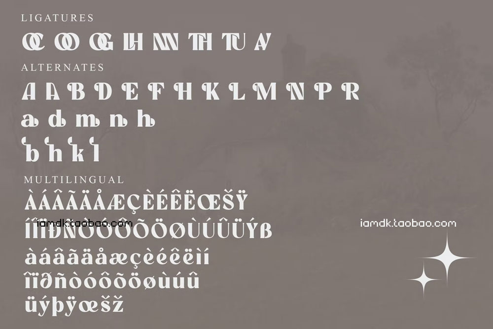 现代优雅海报品牌标识设计衬线英文字体 Madela Modern Serif Font_img_2