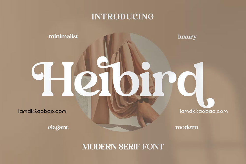 现代优雅品牌海报标识设计衬线英文字体 Heibird Serif Font_img_2