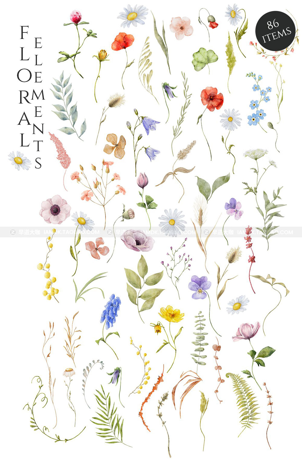 优美手绘水彩野花花卉花圈创意字母PNG免扣图片设计素材 Wild Flowers watercolor collection_img_2