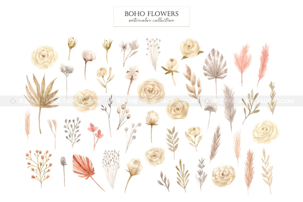 波西米亚风叶子花卉树枝棉花手绘水彩画PNG免扣图片素材 Boho Flowers. Watercolor Collection_img_2