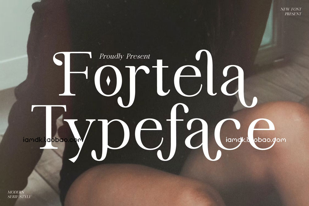 现代优雅品牌海报标识设计衬线英文字体 Fortela Typeface Font_img_2