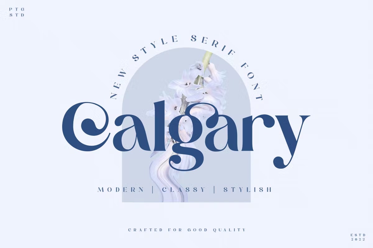 时尚复古杂志海报徽标logo设计衬线英文字体 Calgary  New Stylish Serif Font_img_2