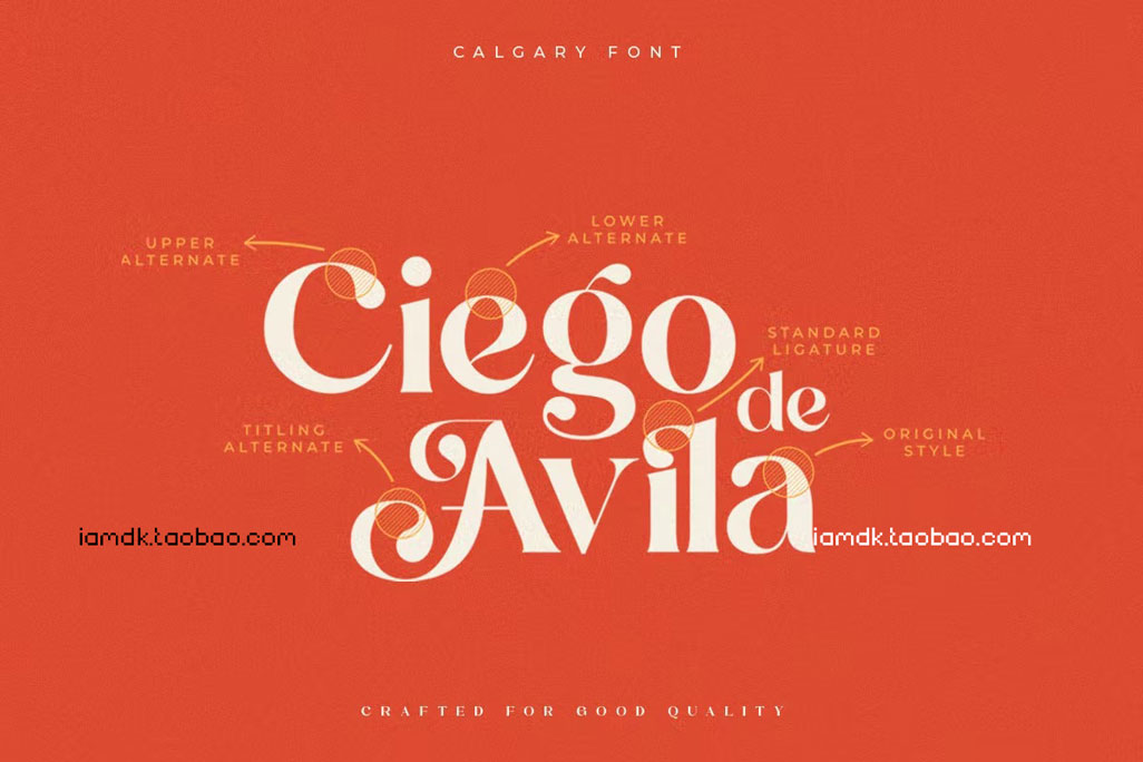 时尚复古杂志海报徽标logo设计衬线英文字体 Calgary  New Stylish Serif Font_img_2