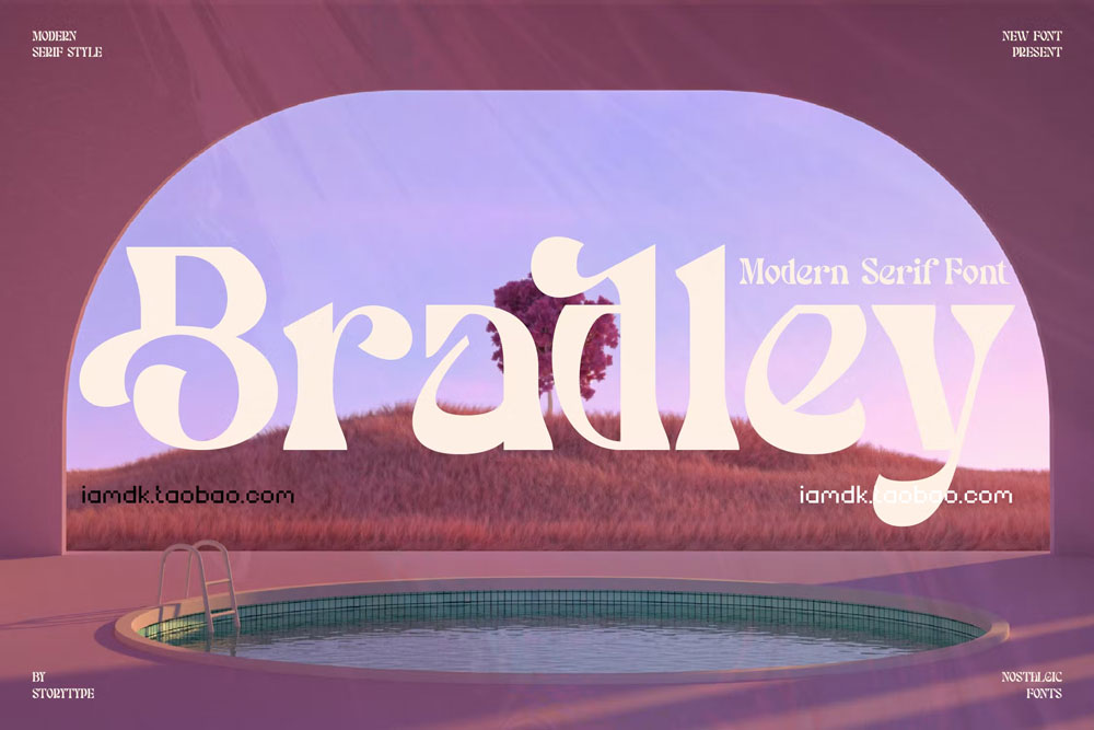 现代时尚品牌海报徽标logo设计衬线英文字体 Bradley Modern Serif Font_img_2