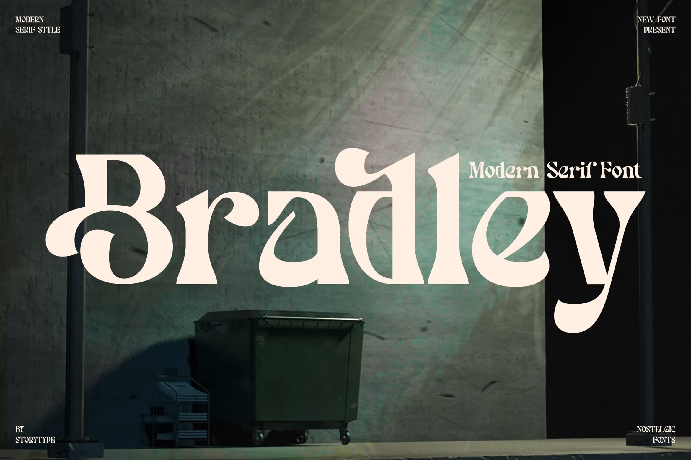 现代时尚品牌海报徽标logo设计衬线英文字体 Bradley Modern Serif Font_img_2