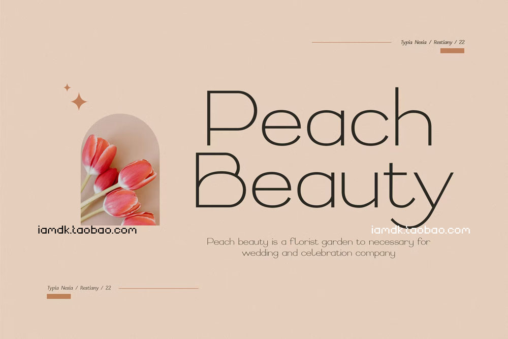 优雅杂志广告标题设计无衬线英文字体 Restiany - Beauty Elegant Expanded Sans Serif_img_2