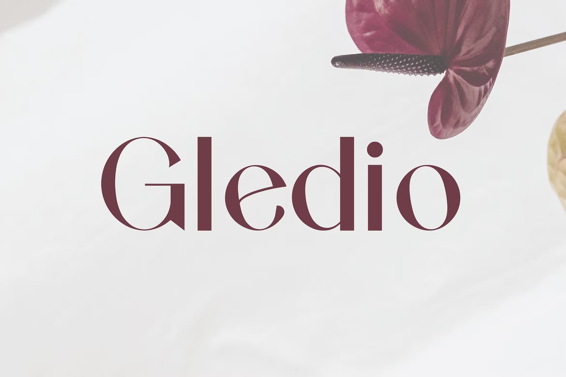 现代复古品牌婚礼邀请函设计无衬线英文字体 Gledio_img_2