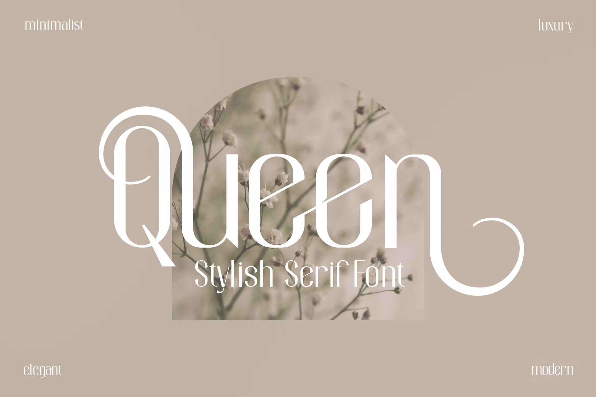 现代品牌海报标识设计衬线英文字体 Queen Stylish Serif Font_img_2