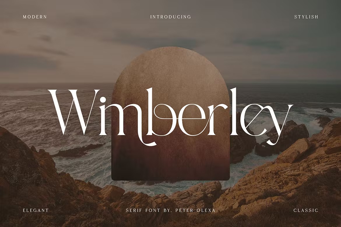 时尚品牌标志商标设计衬线英文字体 Wimberley - Elegant Serif Font_img_2