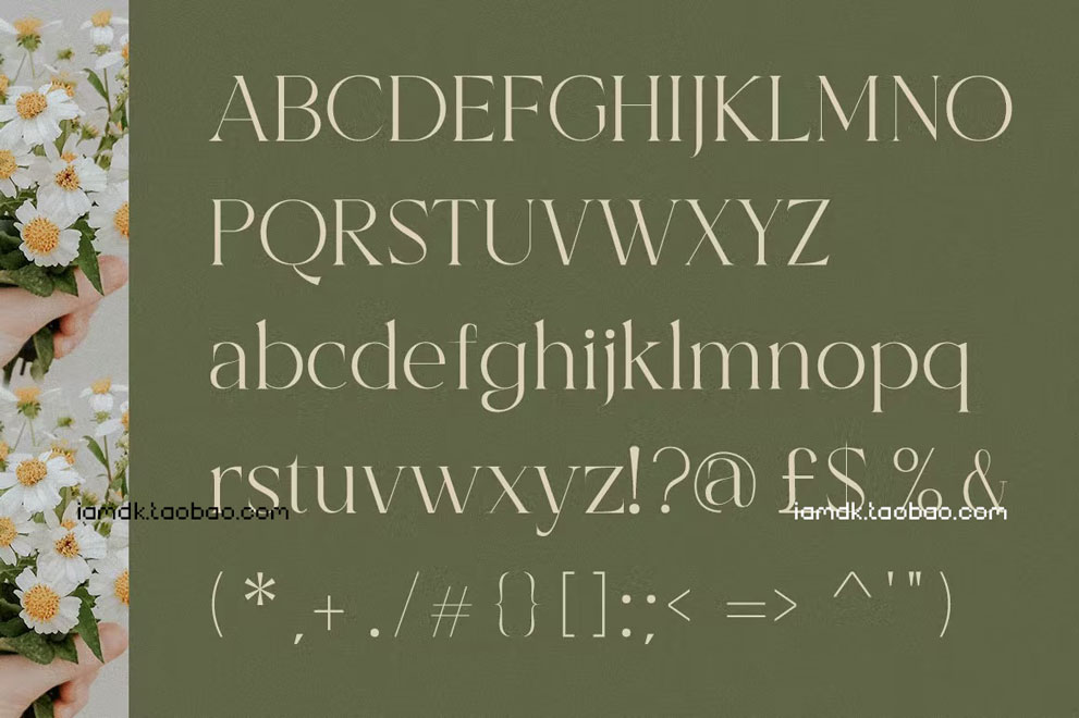 时尚优雅杂志广告商标设计衬线英文字体 Bercarets - Elegant Display Serif Font_img_2