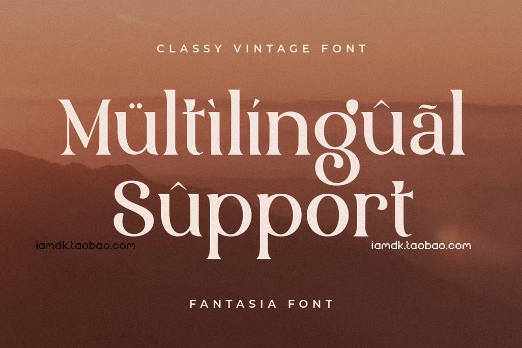 优雅复古品牌海报商标设计衬线英文字体 Fantasia - Classy Vintage Font_img_2