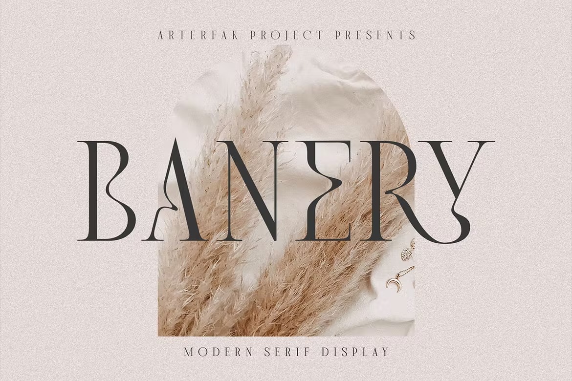 现代杂志海报徽标logo设计衬线英文字体 Banery - Modern Serif_img_2