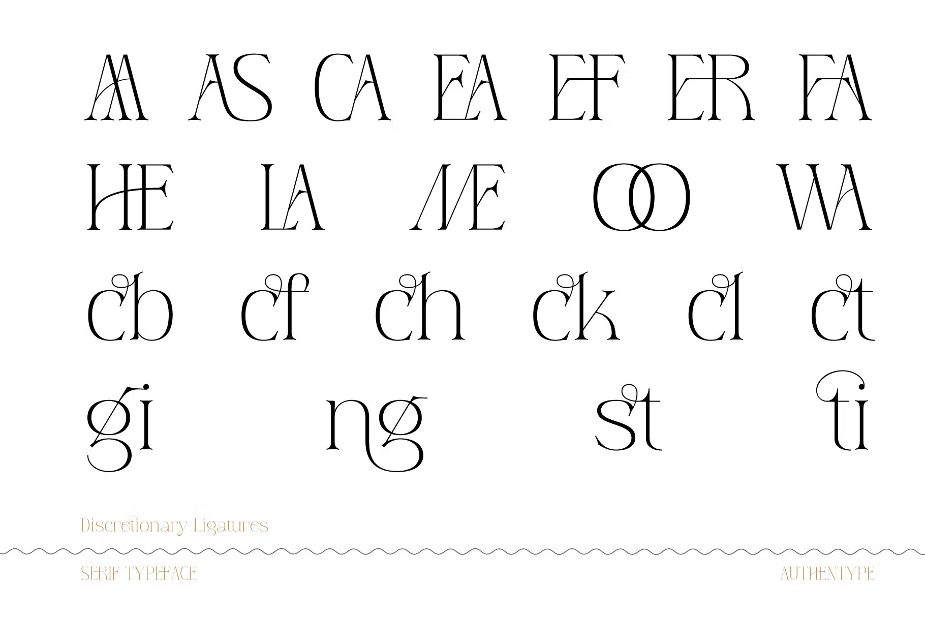 现代奢华杂志包装名片设计衬线英文字体 Reging - Serif Typeface_img_2