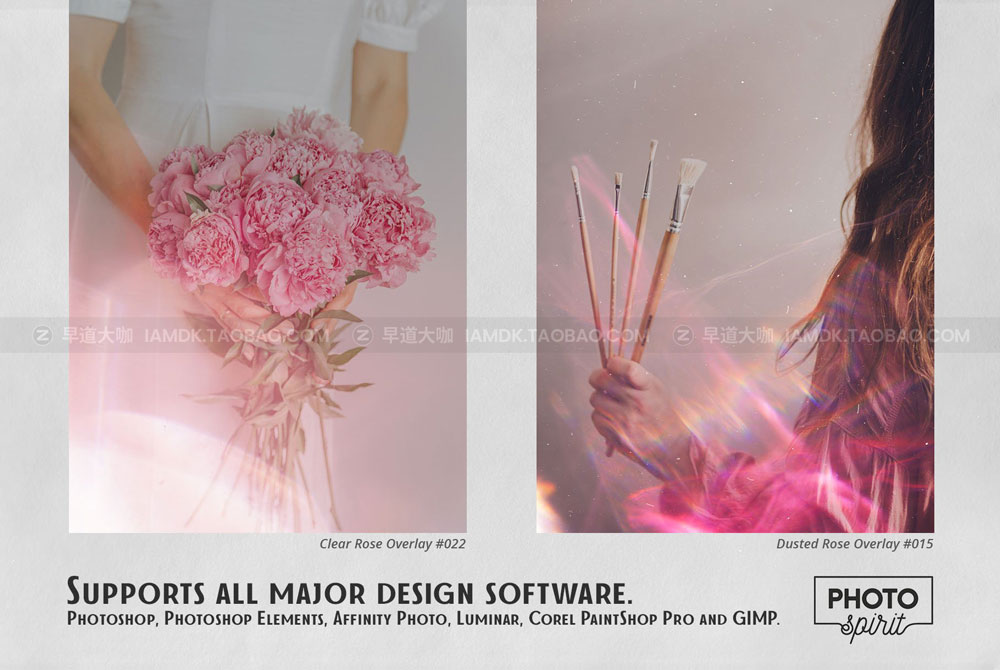 40款复古粉化玫瑰灰尘照片叠加层背景图片设计素材 Dusted Rose Overlays_img_2