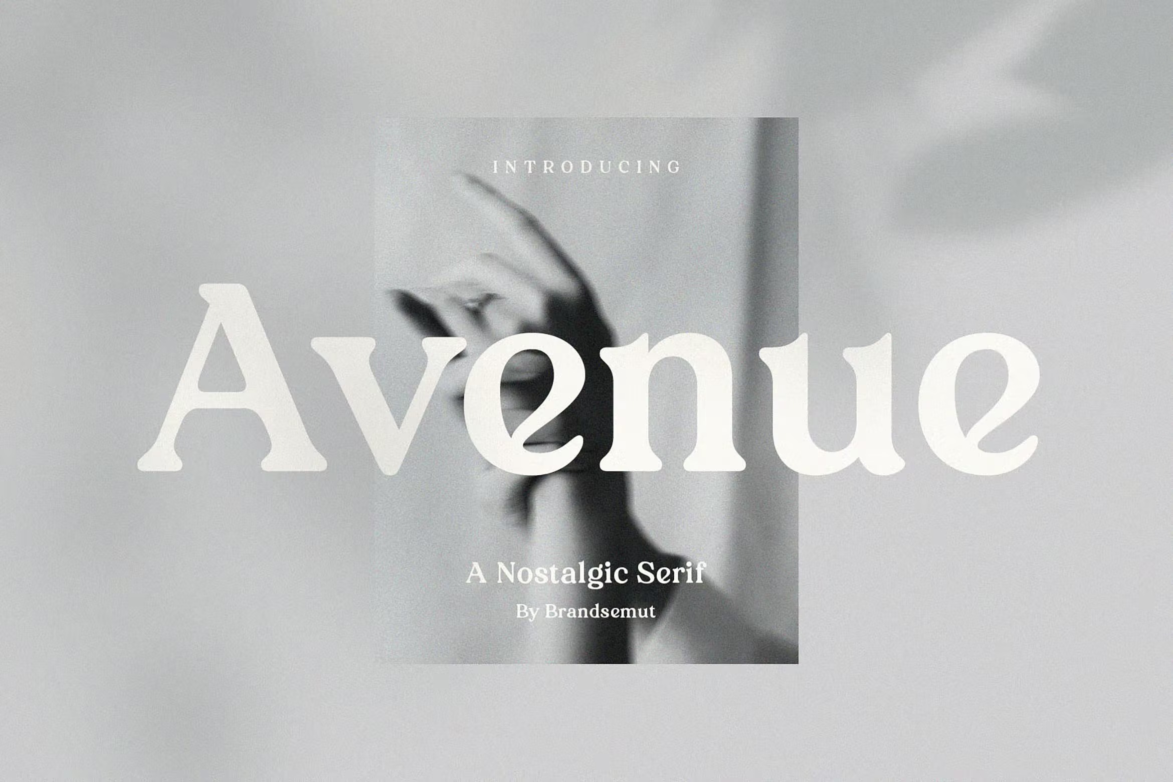 现代杂志包装徽标logo设计衬线英文字体 Avenue - Nostalgic Serif_img_2