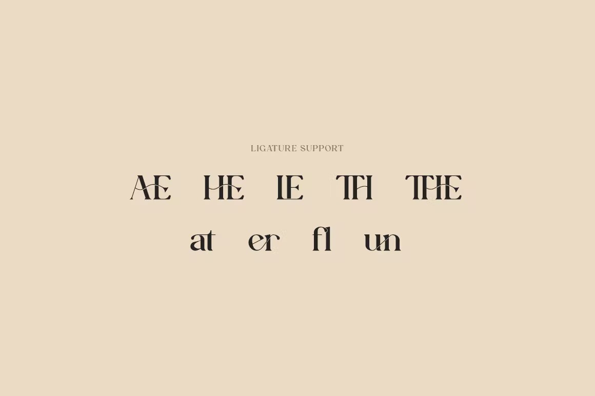 优雅杂志广告商标设计衬线英文字体 Aesthetiva - Elegant Serif Font_img_2