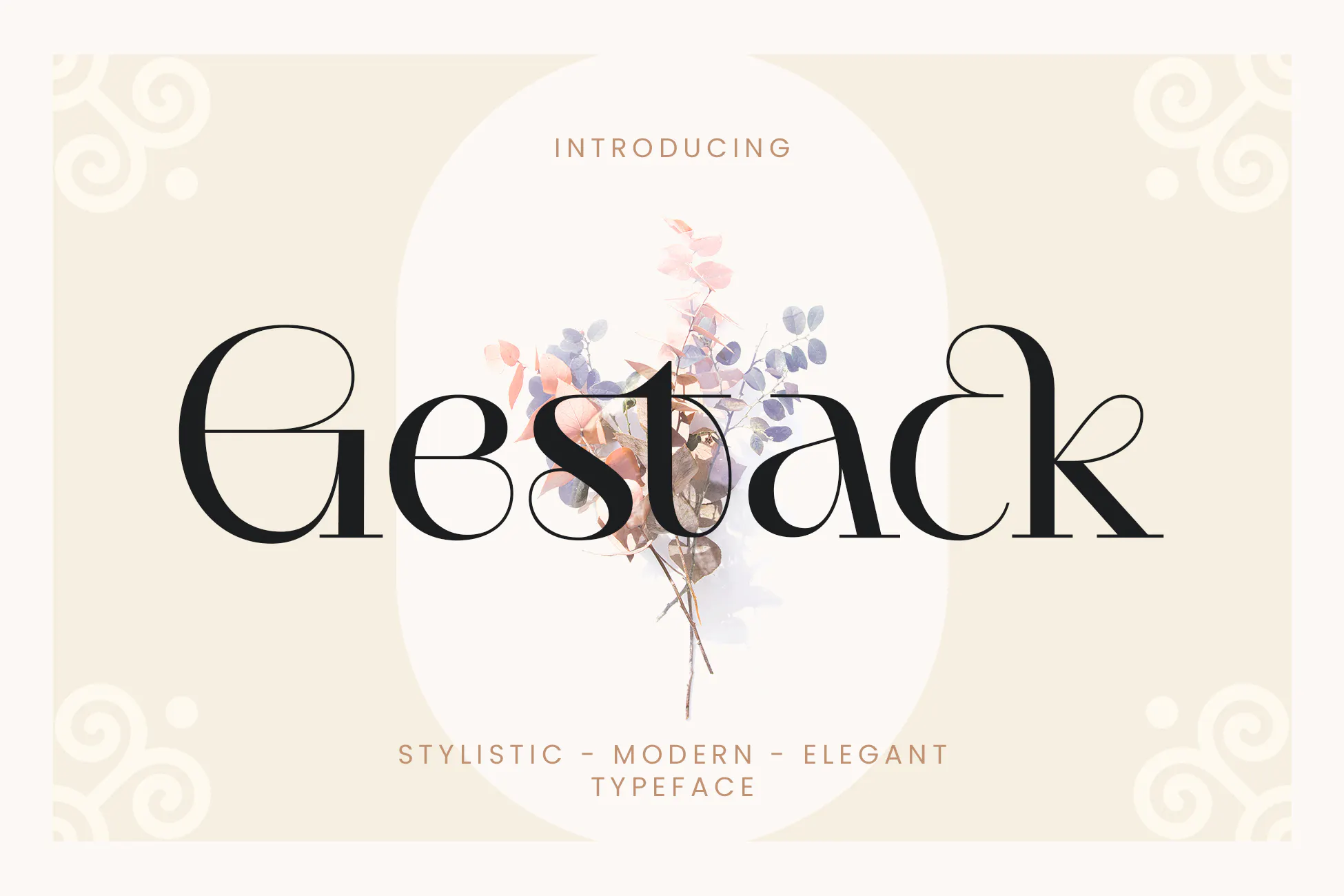 时尚品牌包装商标设计衬线英文字体 Gestack - Stylish Display Serif_img_2