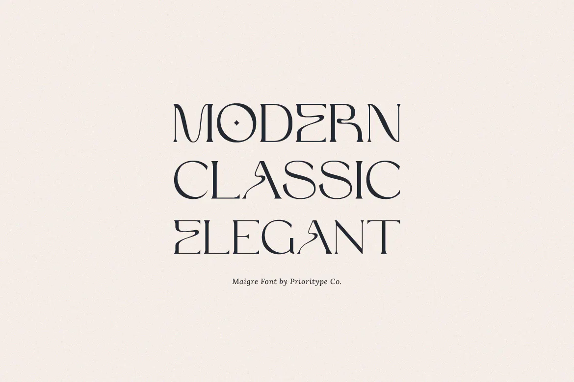 优雅杂志品牌徽标logo设计衬线英文字体 Maigre - Modern Serif_img_2