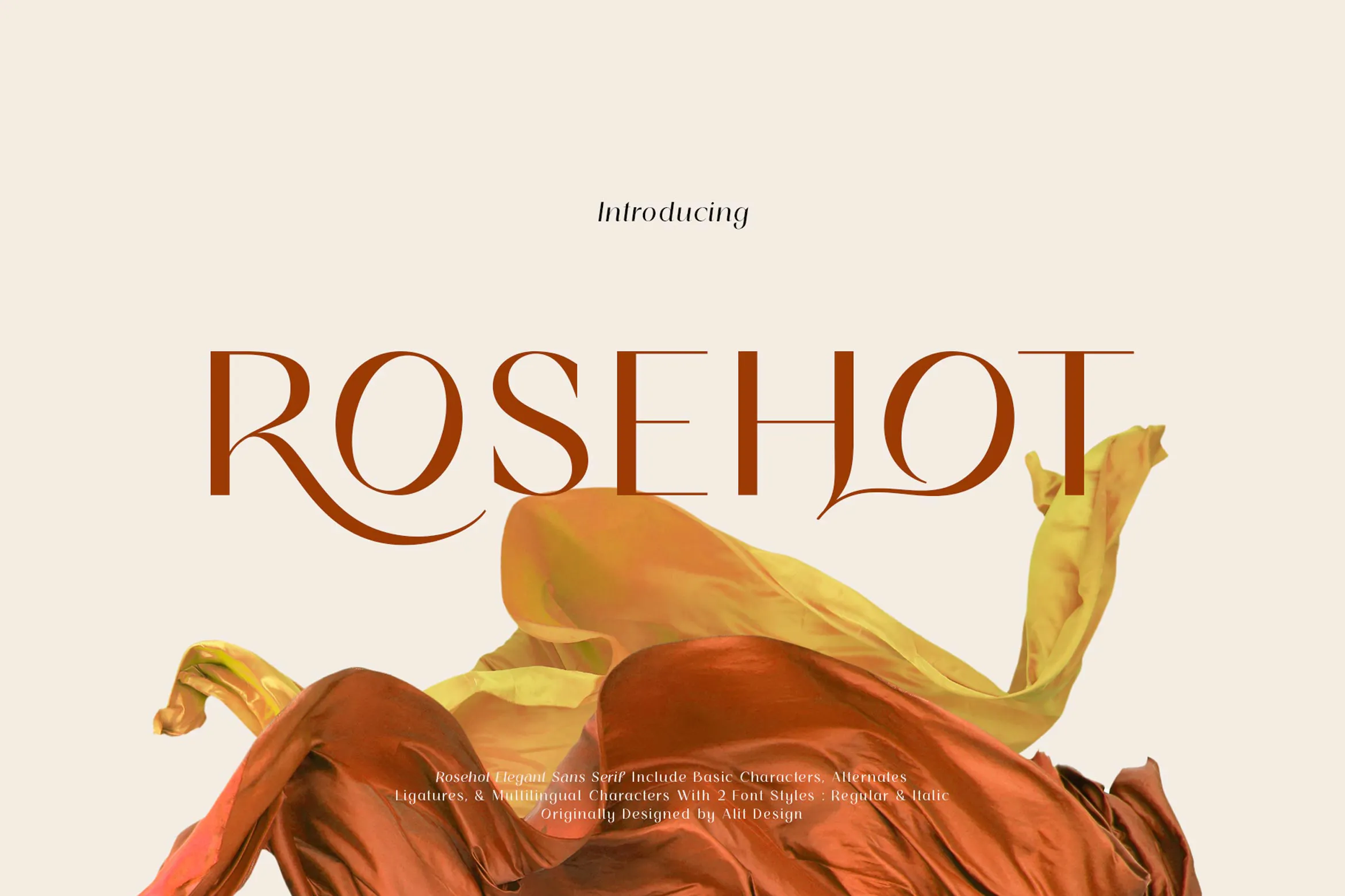 优雅奢华杂志海报婚礼设计衬线英文字体 Rosehot Typeface_img_2