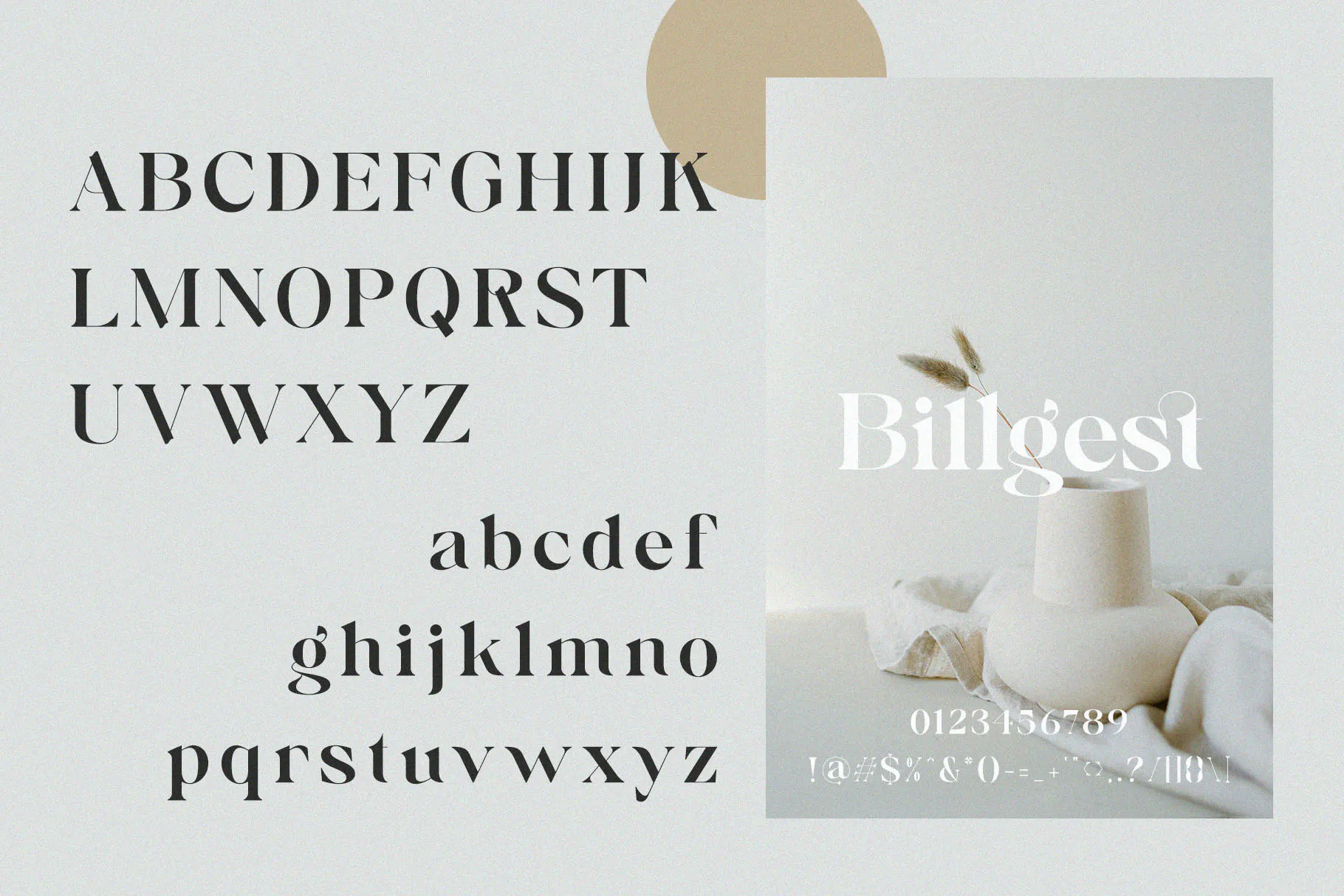 现代优雅品牌杂志徽标logo设计衬线英文字体 Billgest - Modern Classy Serif_img_2