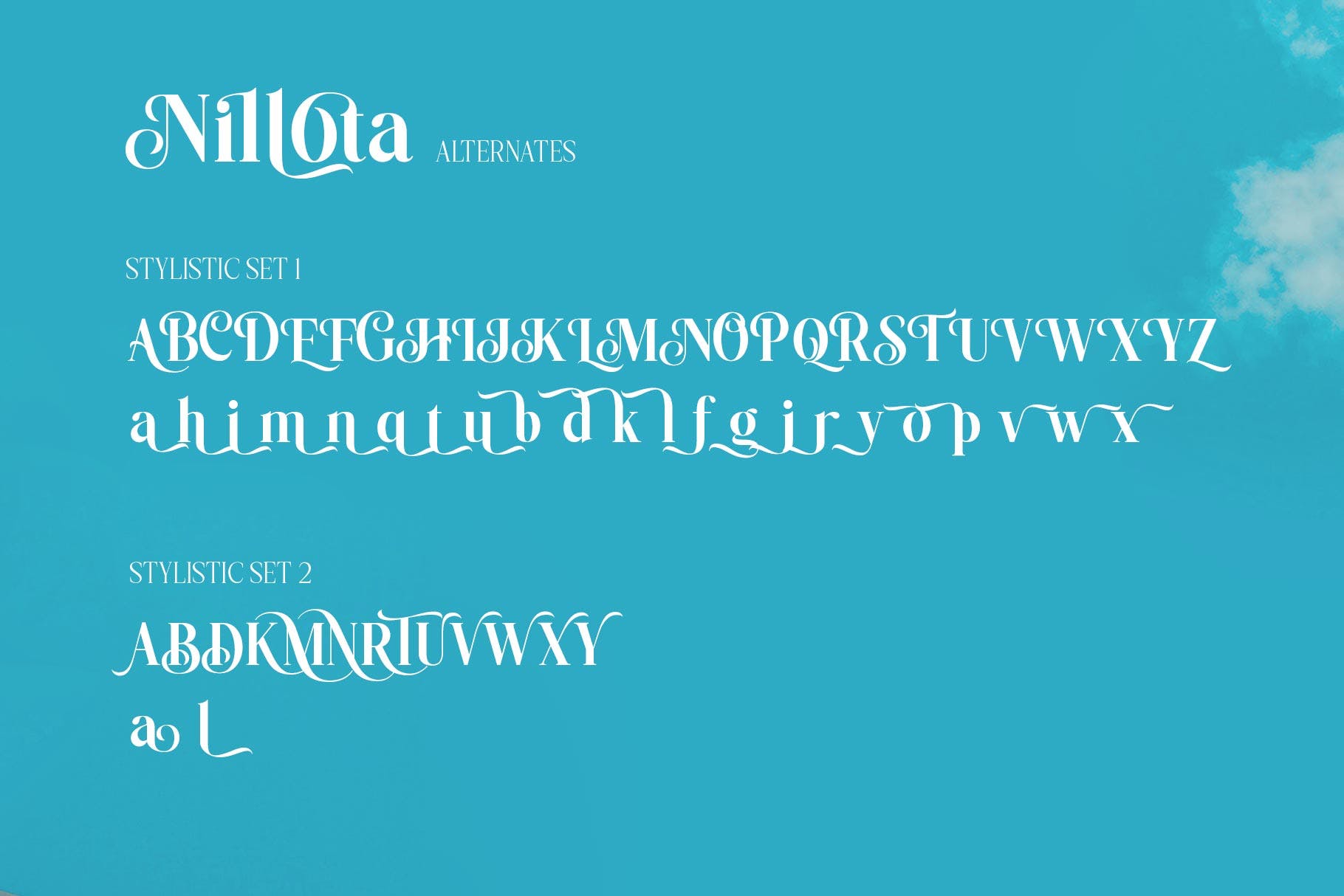 优雅奢华海报婚礼标识设计衬线英文字体 Nilota Typeface_img_2