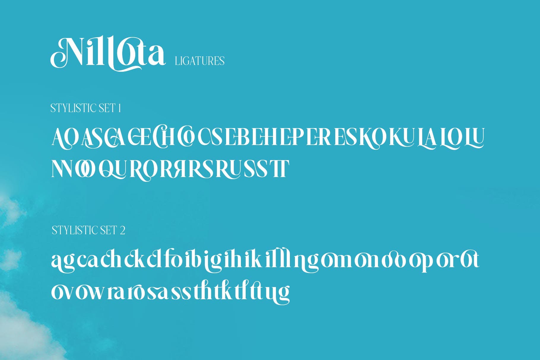 优雅奢华海报婚礼标识设计衬线英文字体 Nilota Typeface_img_2