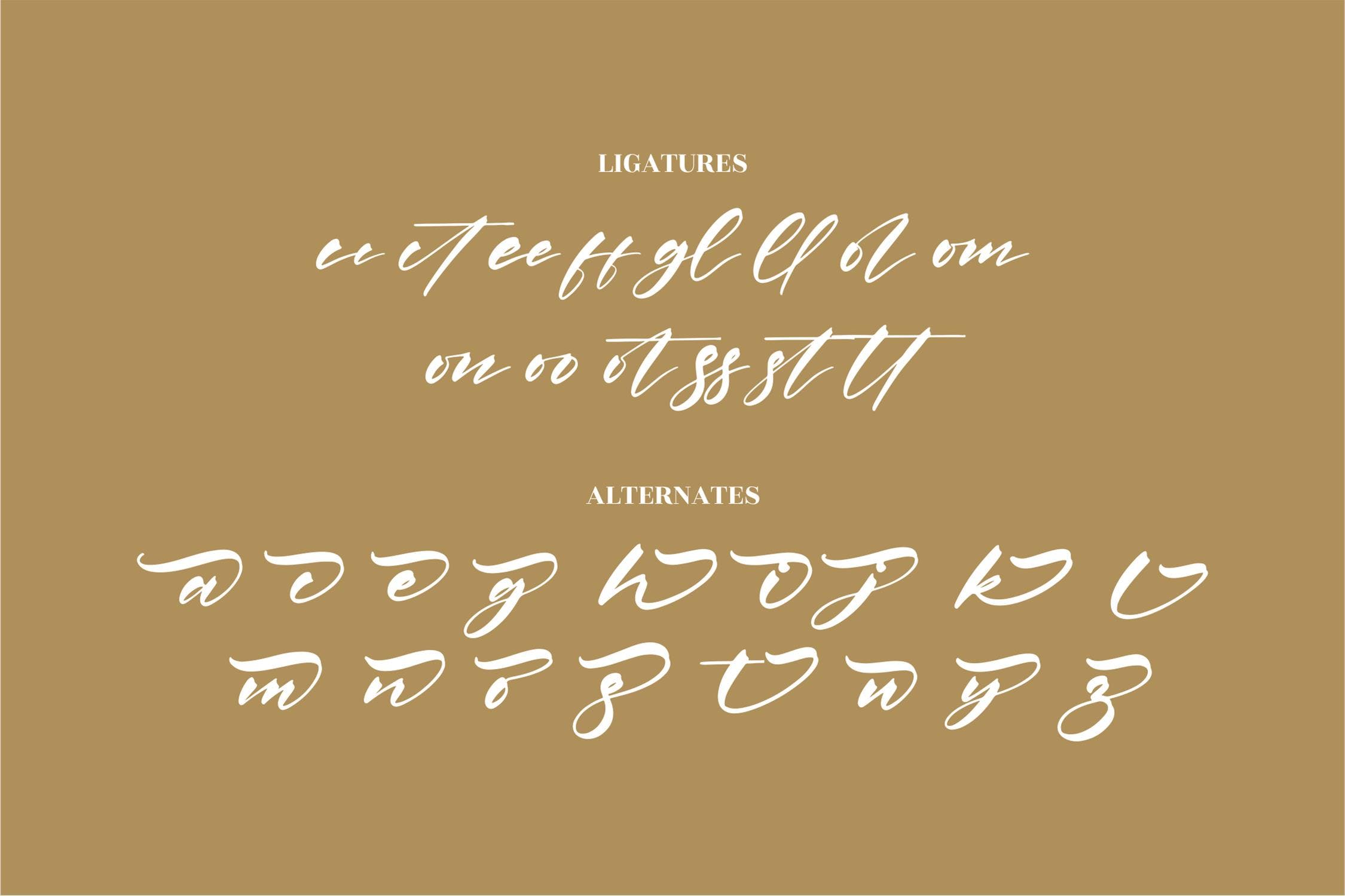 优雅品牌海报签名设计手写英文字体 Patrena Rolane Modern Signature Font LS_img_2