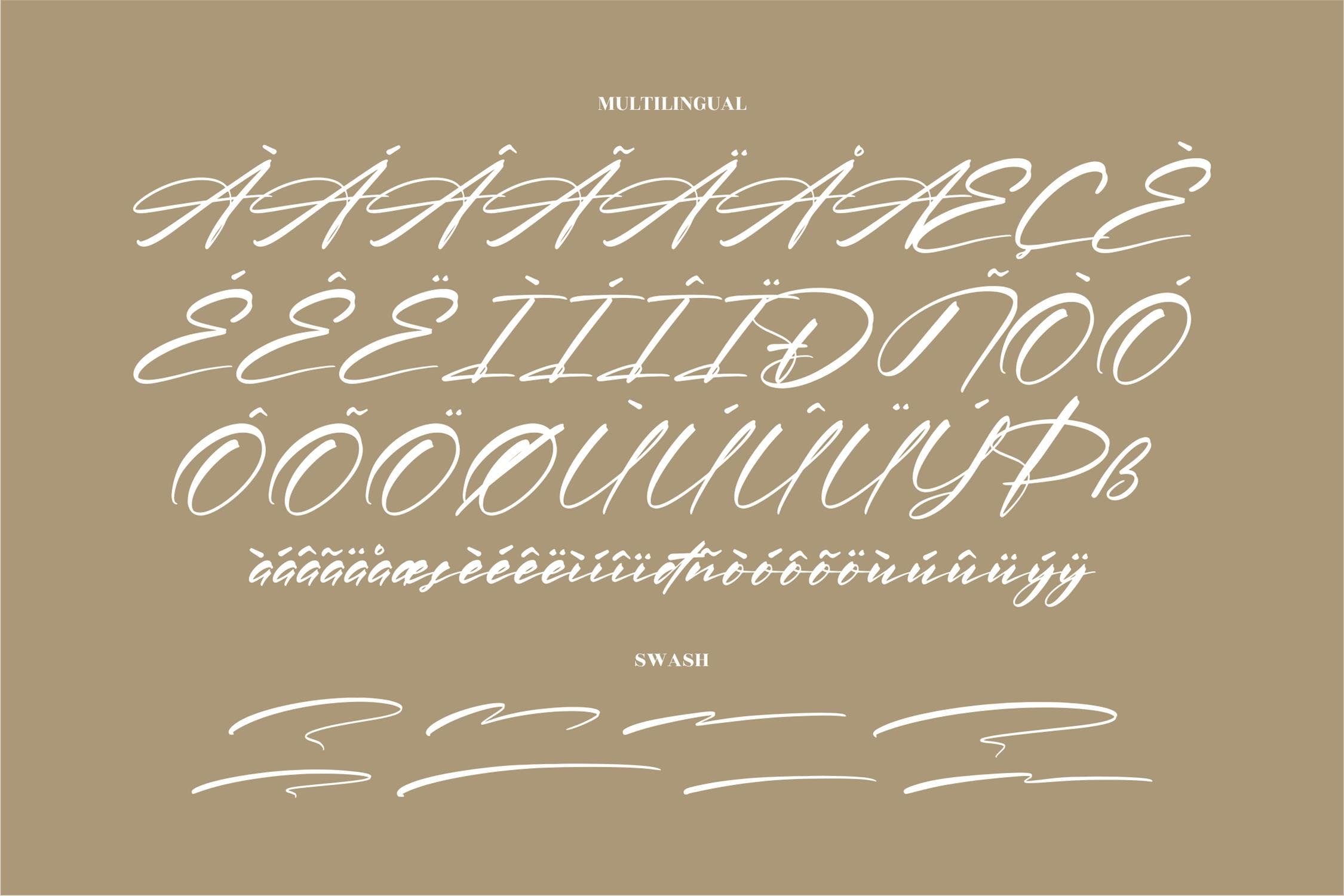 优雅品牌海报签名设计手写英文字体 Patrena Rolane Modern Signature Font LS_img_2