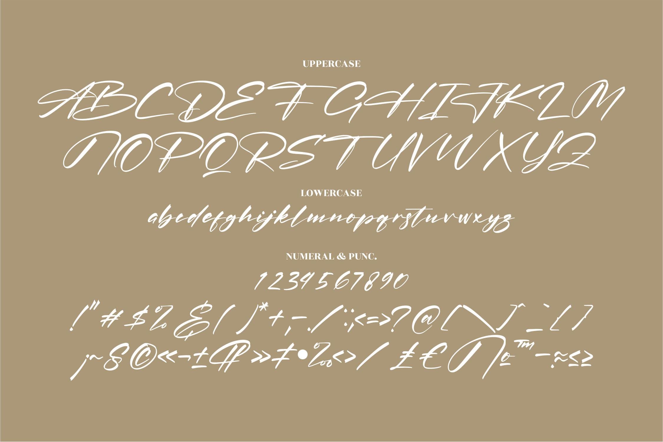 优雅品牌海报签名设计手写英文字体 Patrena Rolane Modern Signature Font LS_img_2