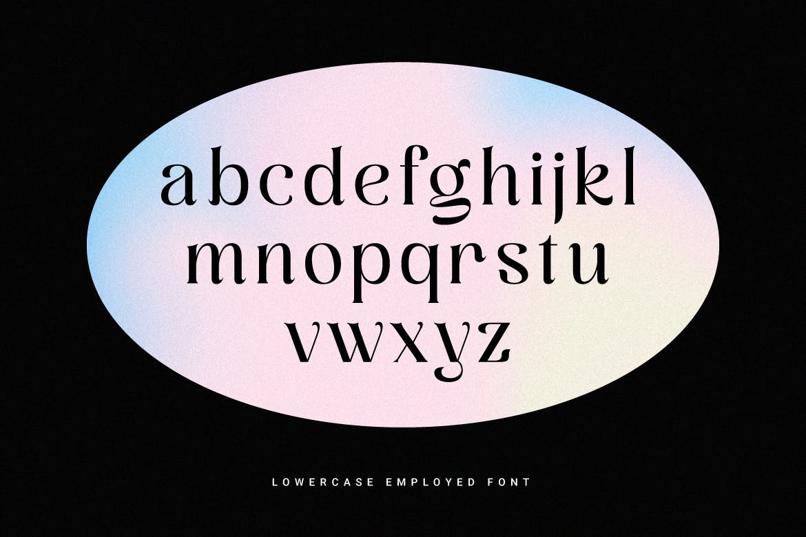 优雅品牌社交媒体徽标logo设计衬线英文字体 Employed - A Display Serif Font_img_2