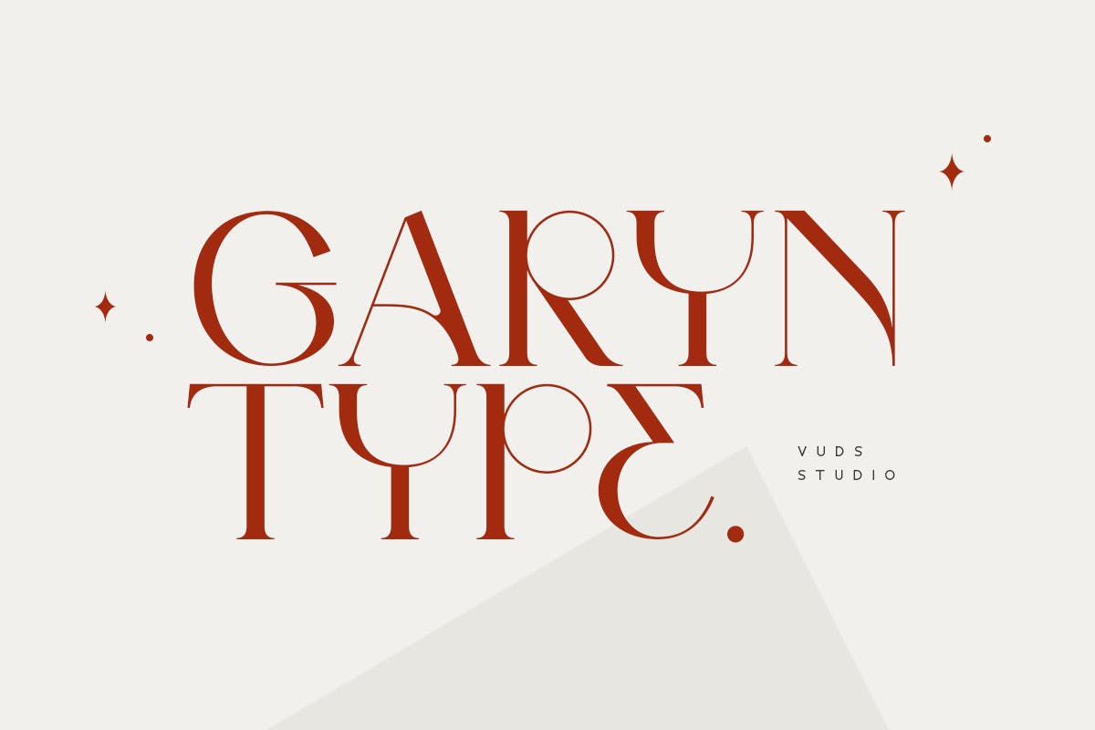 现代品牌商标徽标logo设计衬线英文字体 Garyn Font_img_2