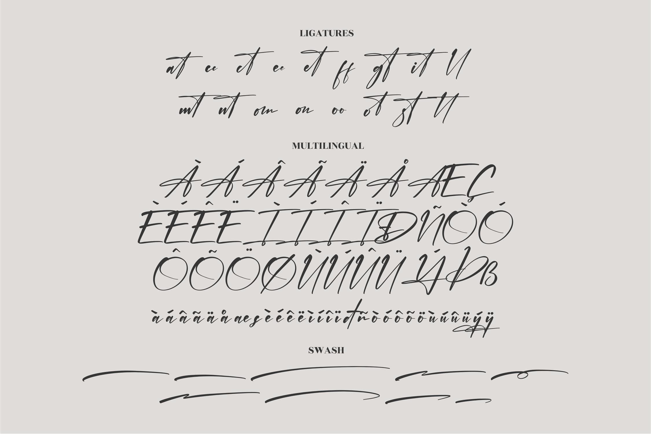 现代优雅品牌海报商标设计手写英文字体 Jonathan Hetegral Modern Siganture Font LS_img_2