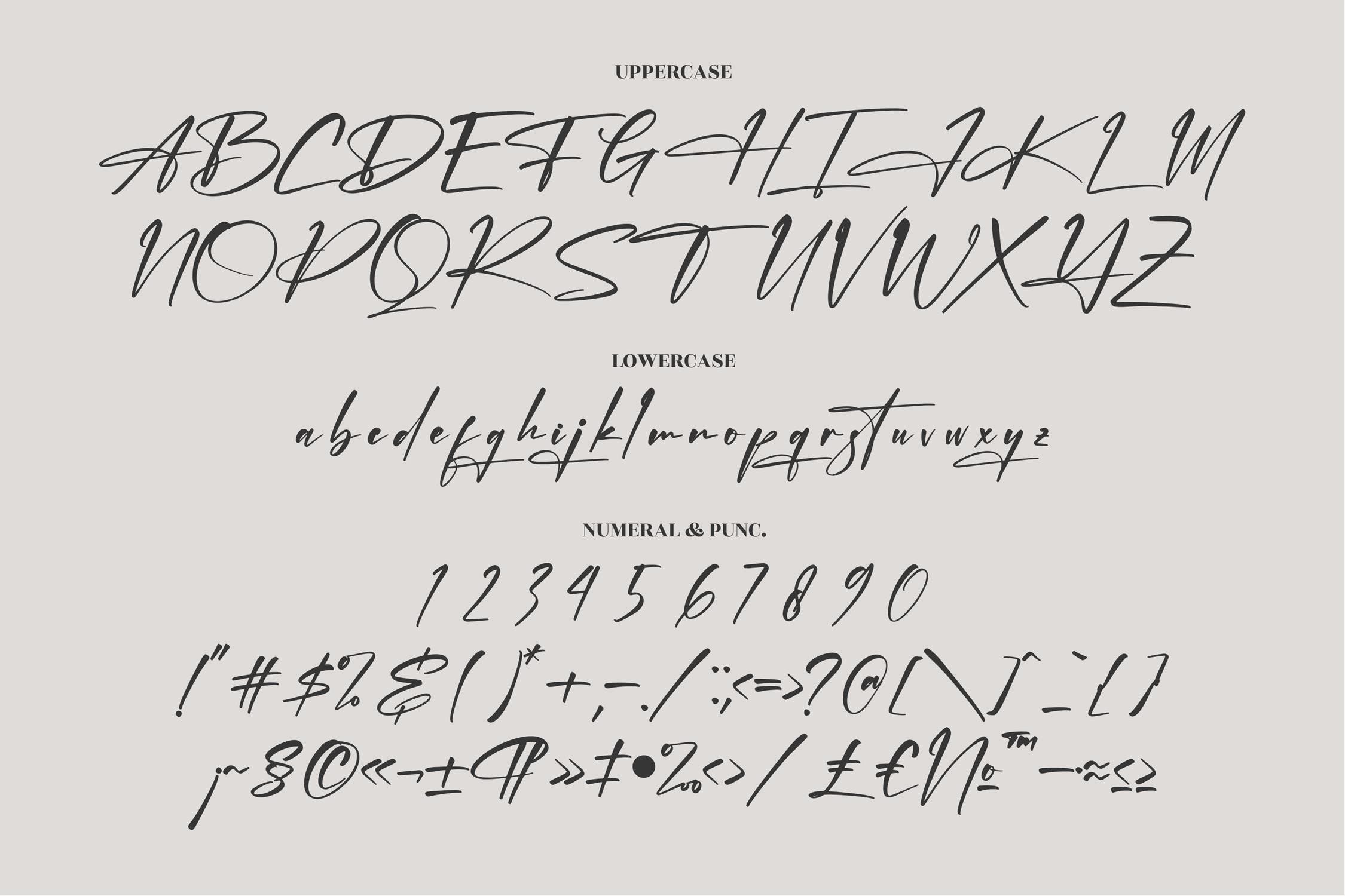 现代优雅品牌海报商标设计手写英文字体 Jonathan Hetegral Modern Siganture Font LS_img_2