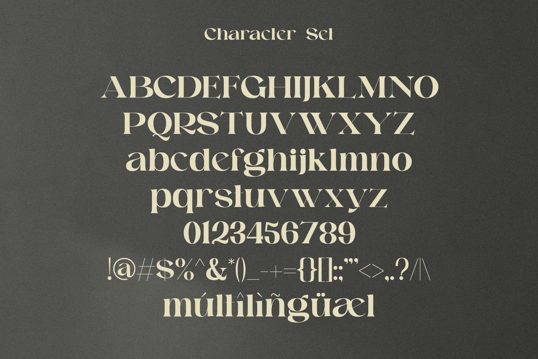 现代复古品牌婚礼标识设计衬线英文字体 Raginy - Stylish Modern Serif_img_2