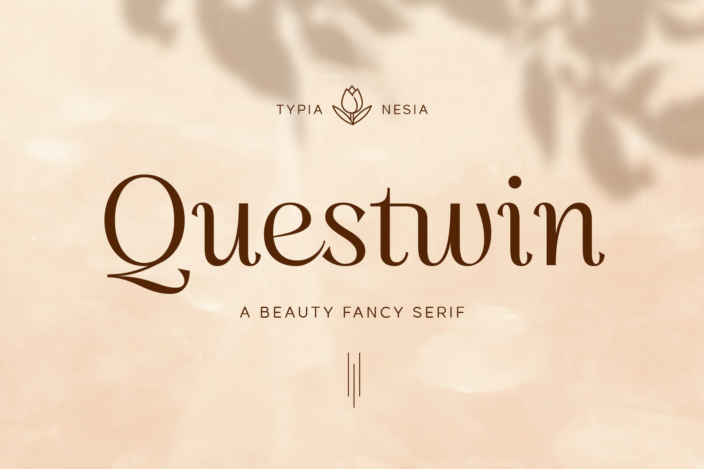 现代优雅杂志标题广告设计衬线英文字体 Questwin - Beauty Elegant Fancy Serif_img_2