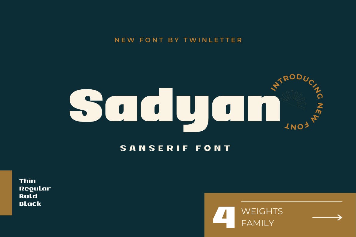 现代复古杂志海报徽标logo设计无衬线英文字体 Sadyan_img_2