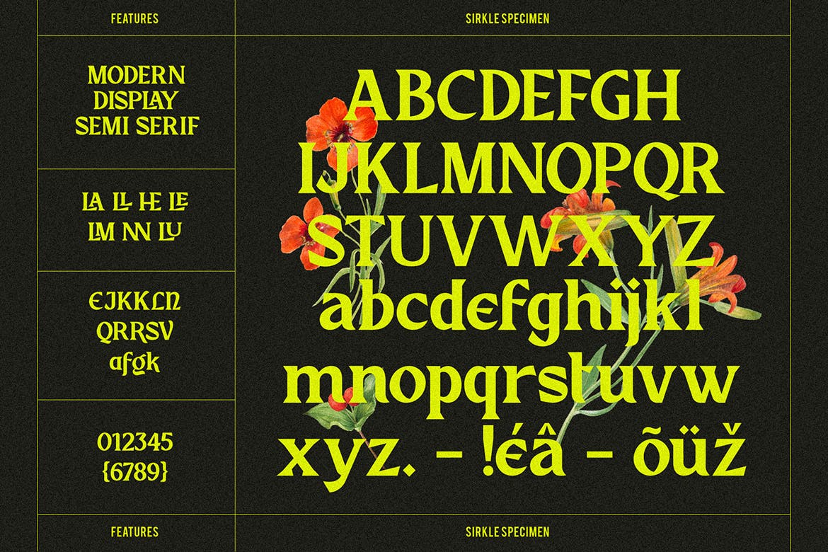 优雅复古海报包装标识设计衬线英文字体 Sirkle - Semi Serif Display_img_2