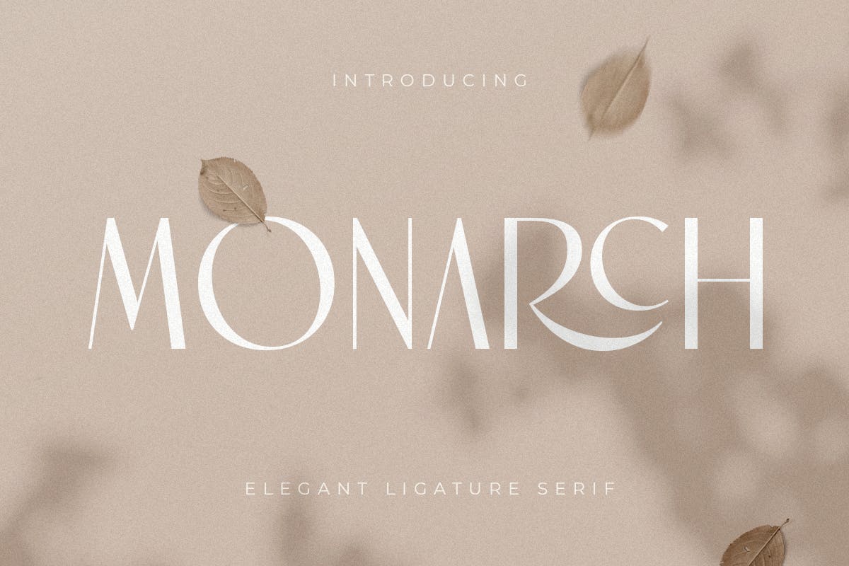 优雅奢华杂志海报标识设计衬线英文字体 Monarch - Elegant Ligature Serif_img_2