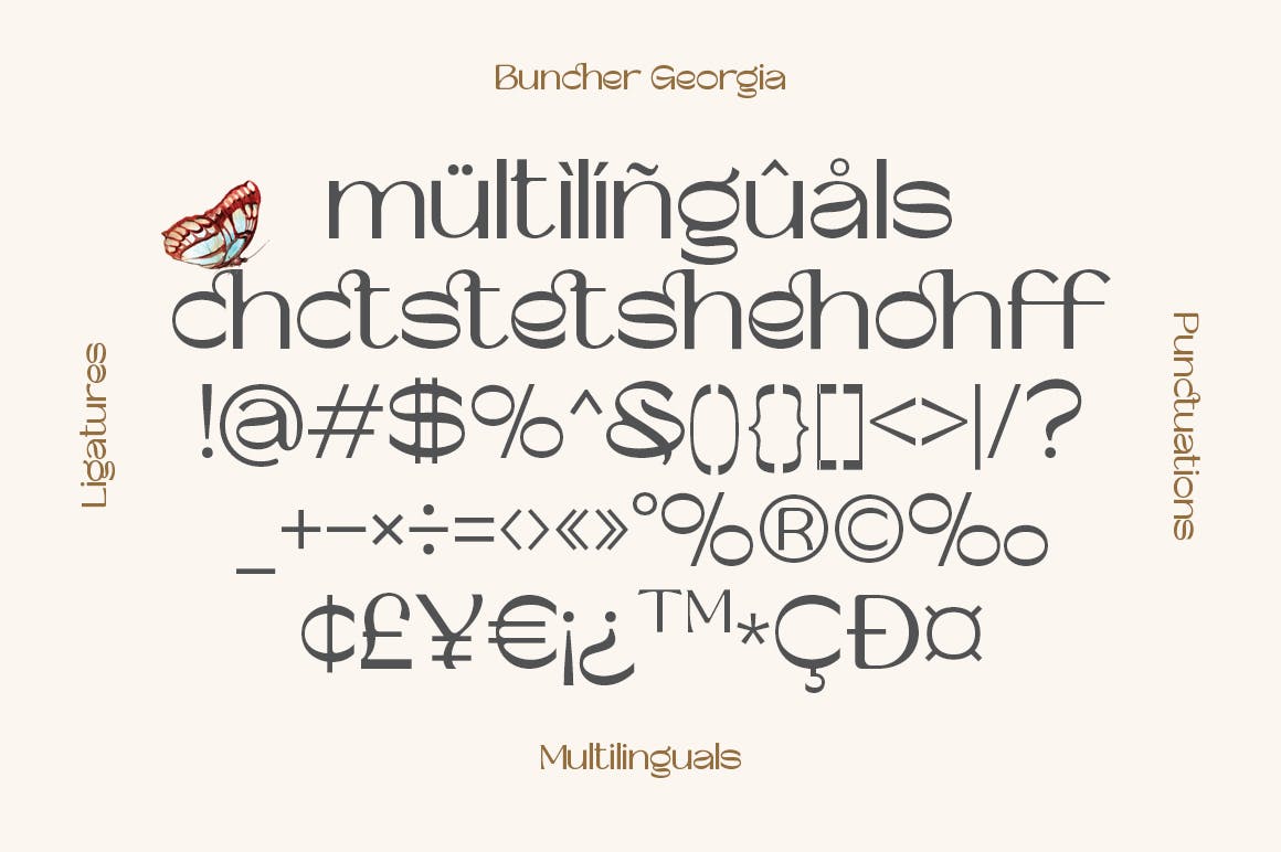 复古杂志海报徽标logo设计无衬线英文字体 Buncher Georgia_img_2