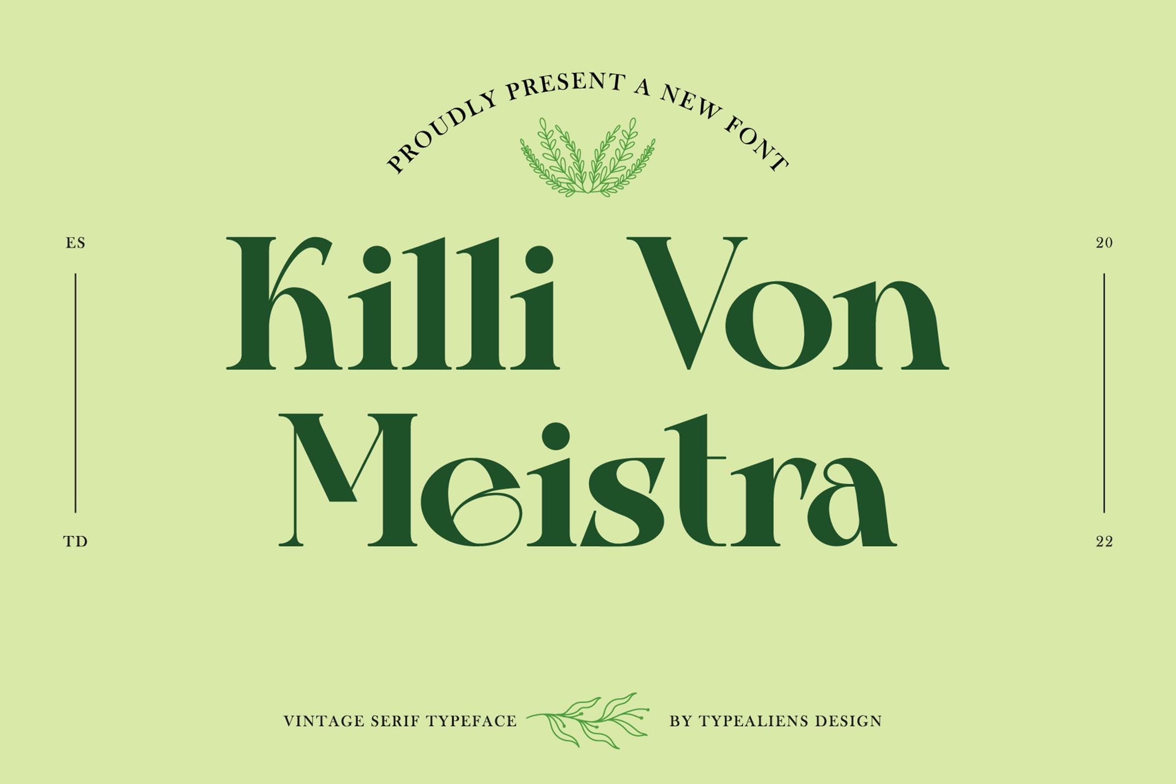 复古杂志社交媒体海报设计衬线英文字体 Killi Von Meistra_img_2