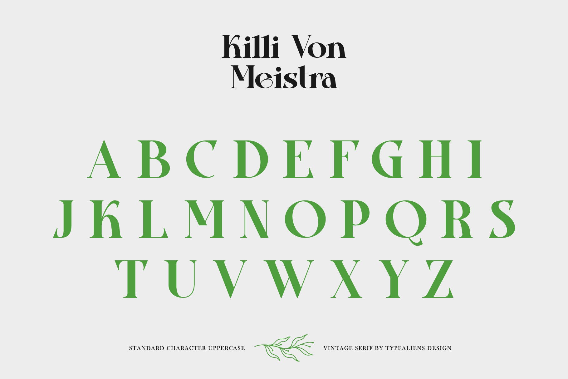 复古杂志社交媒体海报设计衬线英文字体 Killi Von Meistra_img_2