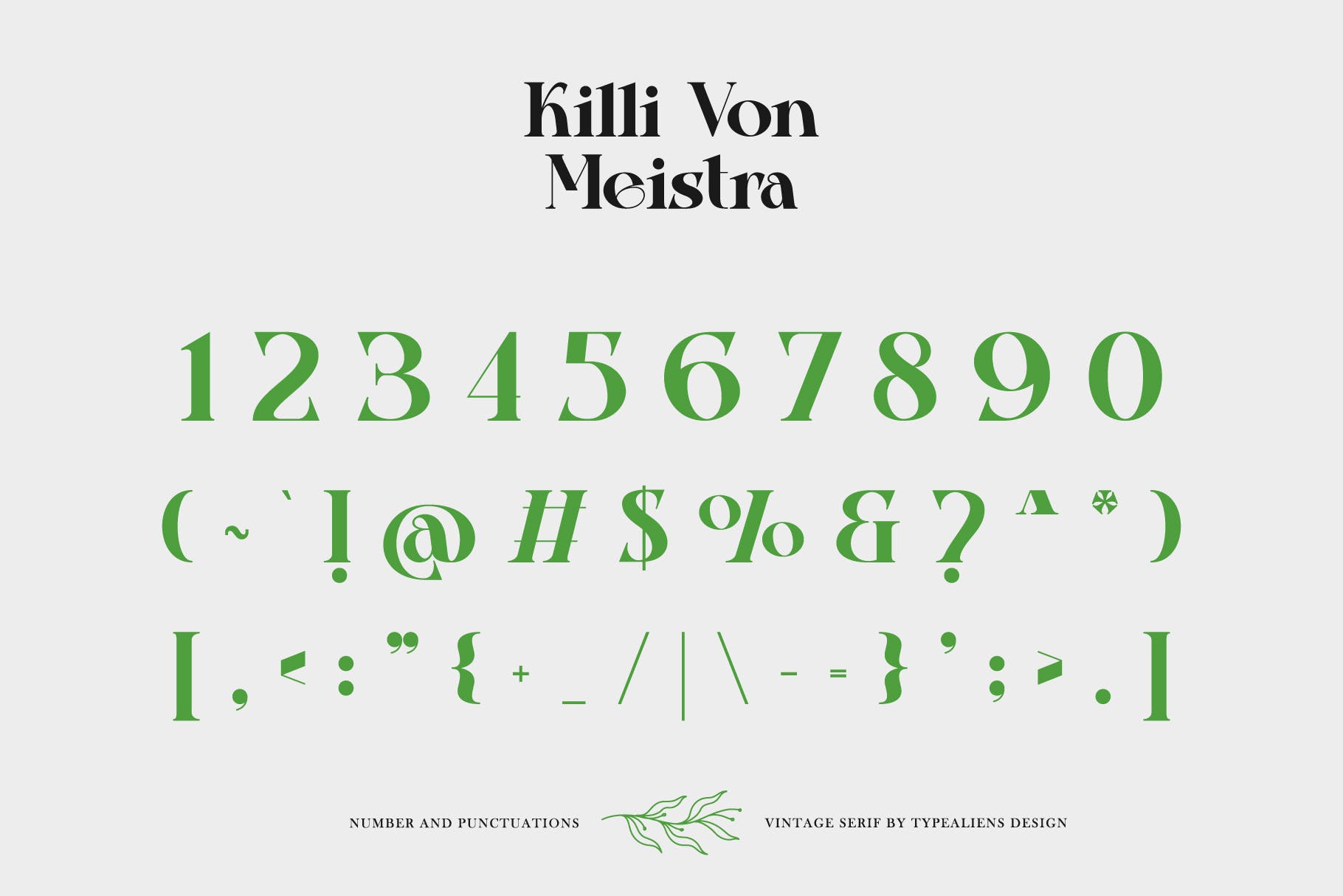 复古杂志社交媒体海报设计衬线英文字体 Killi Von Meistra_img_2