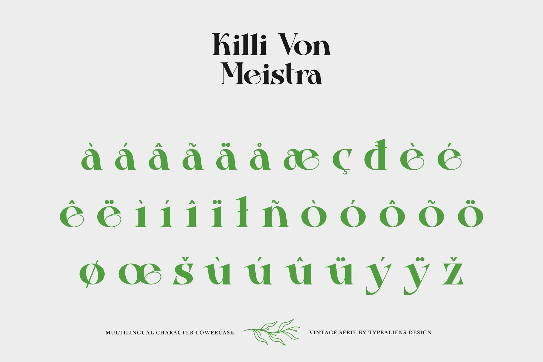 复古杂志社交媒体海报设计衬线英文字体 Killi Von Meistra_img_2