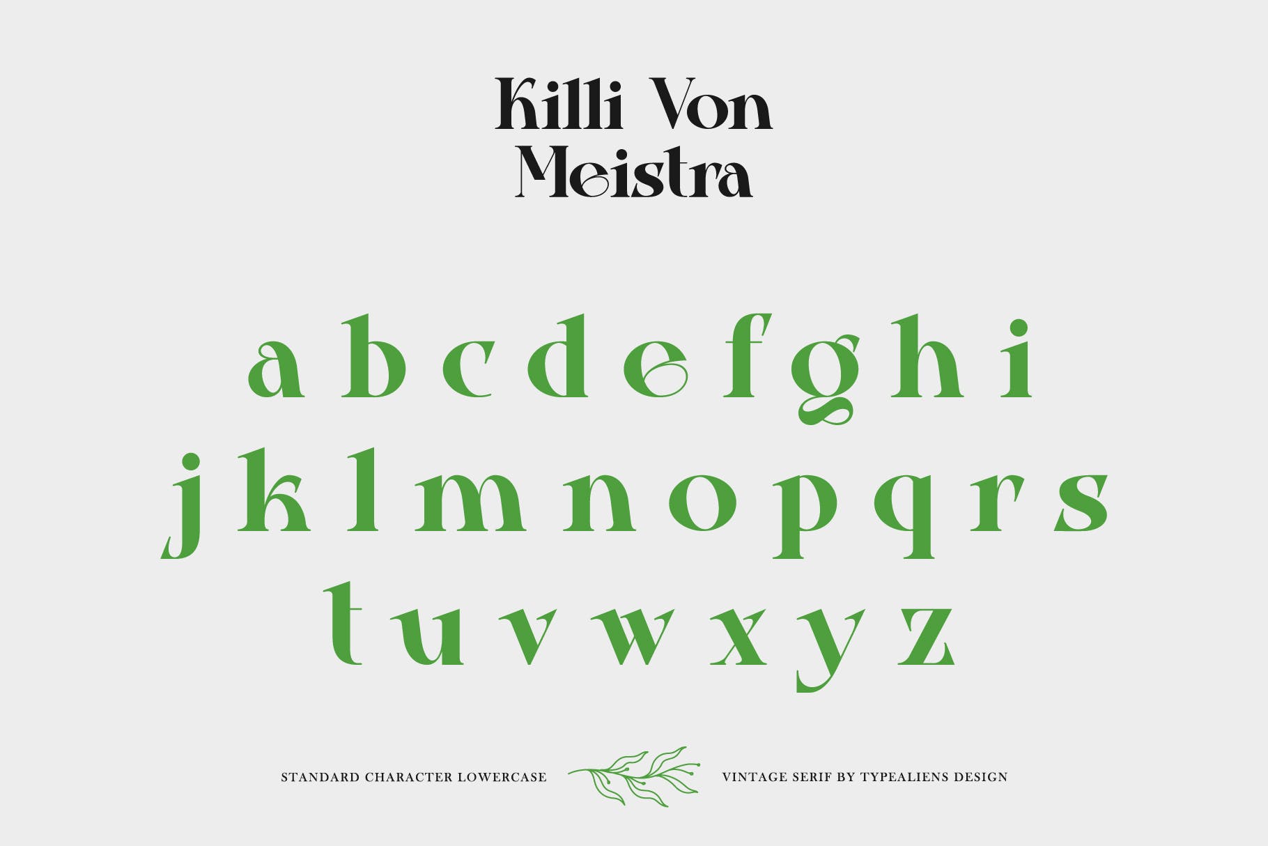 复古杂志社交媒体海报设计衬线英文字体 Killi Von Meistra_img_2