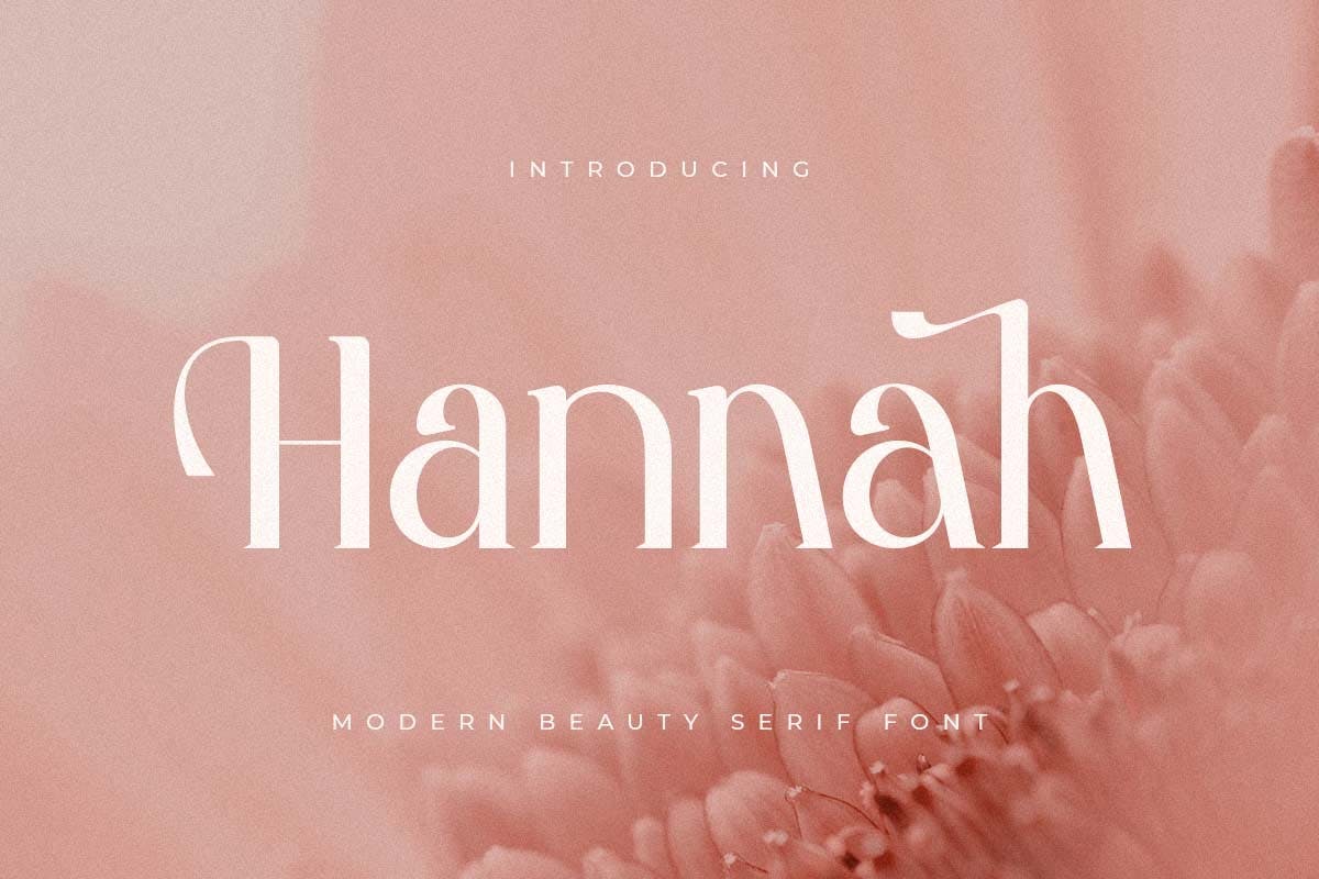 现代优雅品牌海报徽标logo设计衬线英文字体 Hannah - Cute Serif Font_img_2