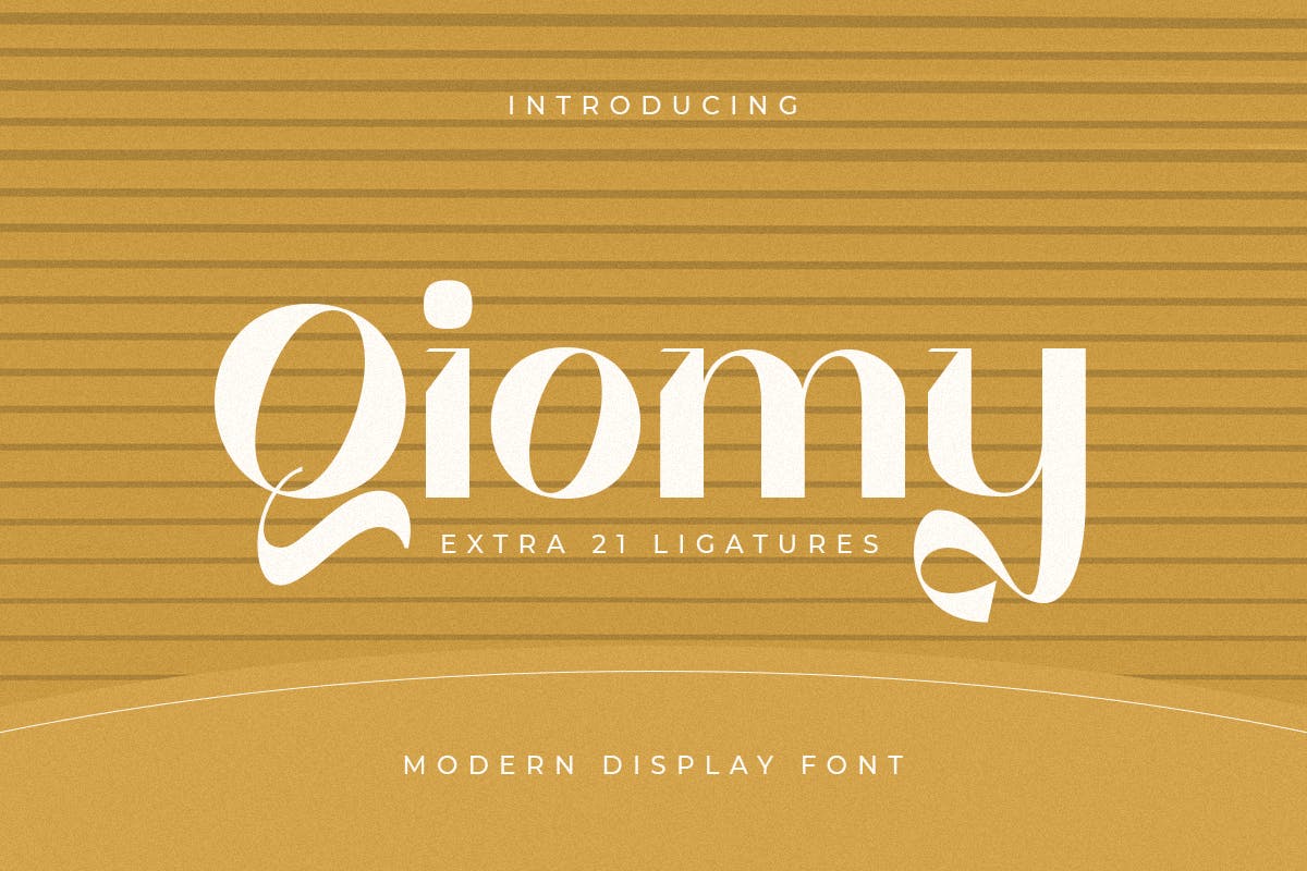 现代优雅品牌海报标识设计衬线英文字体 Qiomy - Modern Display Font_img_2