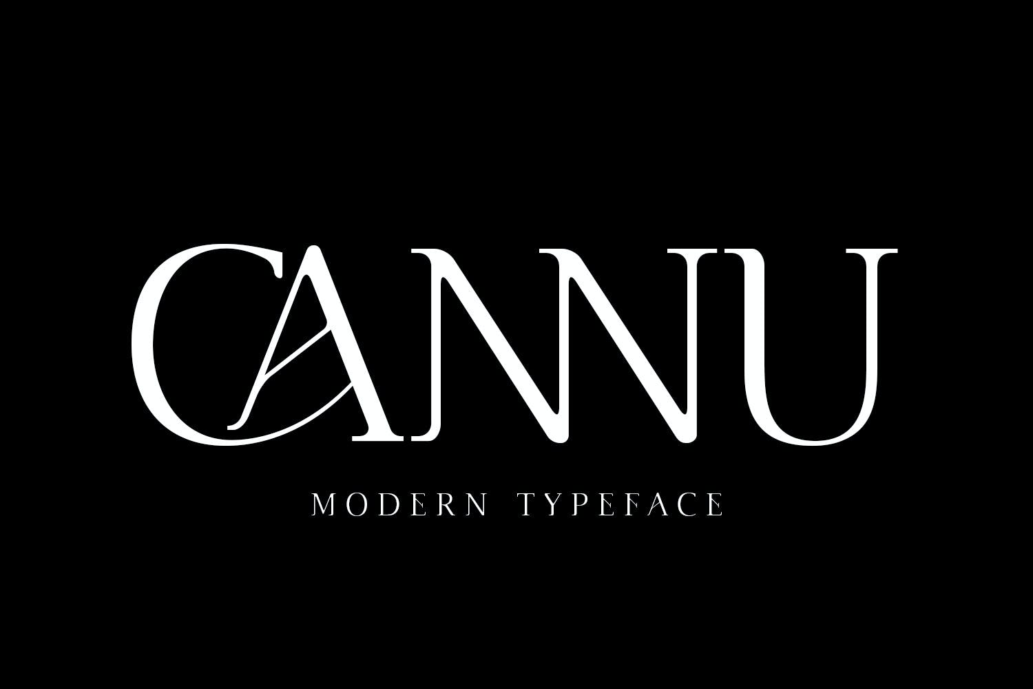 优雅复古海报名片徽标logo设计衬线英文字体 CANNU_img_2